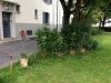7EFE9B00-CB33-4300-9D3C-5E7032EC3BAB.jpeg