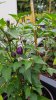 20180613_094605.jpg