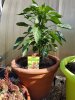20180616_090907.jpg