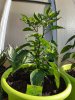 20180616_090924.jpg