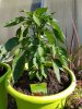 20180616_090951.jpg