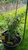 20180617_101938.jpg