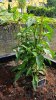 20180617_101918.jpg