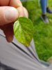 20180617_163609.jpg