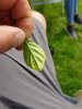 20180617_163613.jpg