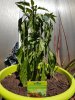 20180620_125620.jpg