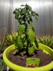 20180620_125628.jpg