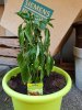 20180621_063812.jpg