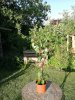 IMG_20180621_200053.jpg IMG_20180621_200053.jpg
