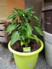 20180622_064004.jpg