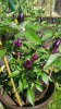 20180629_095142.jpg