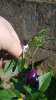 20180629_095201.jpg