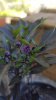 20180629_095357.jpg