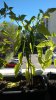 WP_20180701_018.jpg