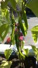 WP_20180701_019.jpg
