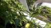 WP_20180630_002.jpg