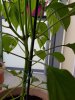 20180621_200212.jpg