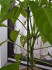 20180629_211651.jpg