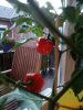 IMG_20180705_220458536_LL.jpg