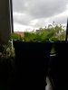20180709_161921.jpg