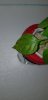 Habbi_Indoor_Schaden_07_18.jpg