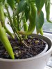 20180711_193528.jpg
