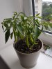 20180711_193517.jpg