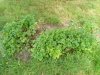 IMG_20180712_152319.jpg