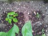 IMG_20180714_4.jpg