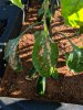 IMG-20180714-WA0000.jpg