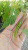 20180719_095914.jpg