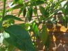20180727_141248.jpg