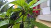 WP_20180728_11_37_55_Pro.jpg