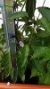 IMG-20180731-WA0001.jpeg