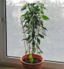IMG_20180623_144931.jpg