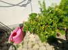 IMG_20180803_141157.jpg