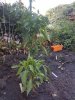 20180819_174023.jpg