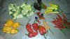20180815_182548.jpg