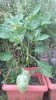 WP_20180906_08_15_27_Pro.jpg