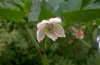 WP_20180906_08_15_36_Pro (2).jpg