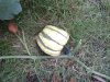 20180910_185334.jpg