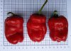 20180922_154118-Doppelfrucht-klein.jpg
