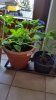 20180929_130614.jpg