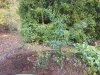 20181020_104434 klein.jpg