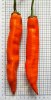 20181021_143430-Aji-Pacay-klein.jpg