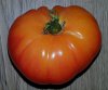 Tomate - Fleischtomate Ananas 1a.jpg