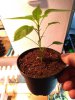 IMG_20181027_101415750.jpg
