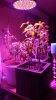 IMG-20181026-WA0002.jpeg