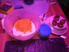 IMG_20181104_071258.jpg