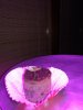 IMG_20181114_052135.jpg